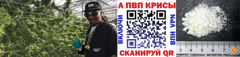 Alfa_PVP СК  Шелехов 