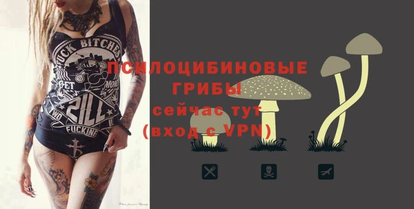 2c-b Алексеевка