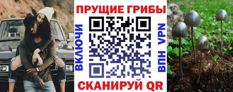 Галлюциногенные грибы Cubensis  наркота  Шелехов 
