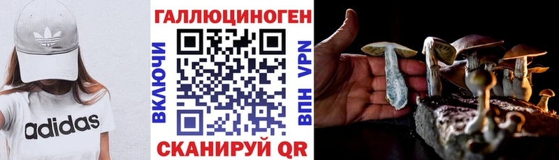 Псилоцибиновые грибы GOLDEN TEACHER Шелехов